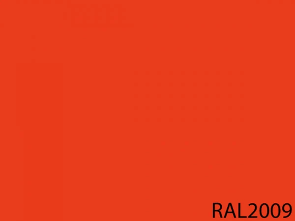 RAL 2009