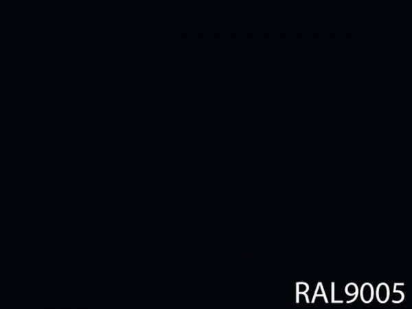 RAL 9005