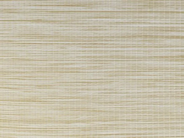 Aruba 223 - Svetložltá (borovica)