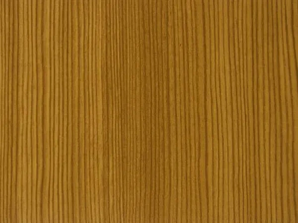 23 - Borovica horská