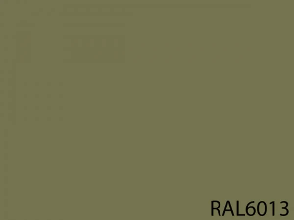 RAL 6013