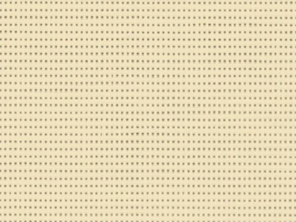 SLTZ86 2175 - champagne