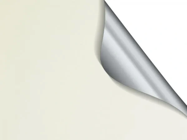 Madagaskar 056 (thermo) - Slonová kosť