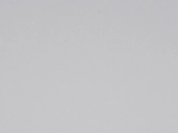 signal grau 700405-08