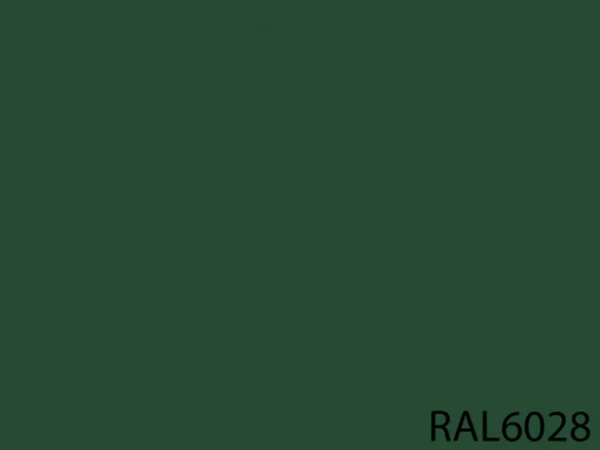 RAL 6028