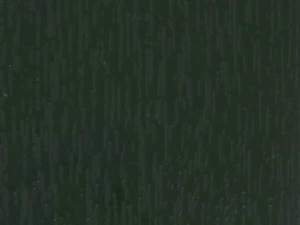 tannengruen 4365021 ( 612505 )