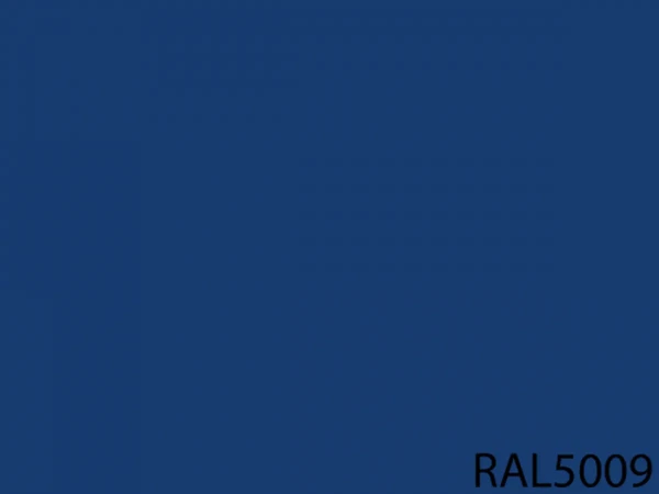 RAL 5009
