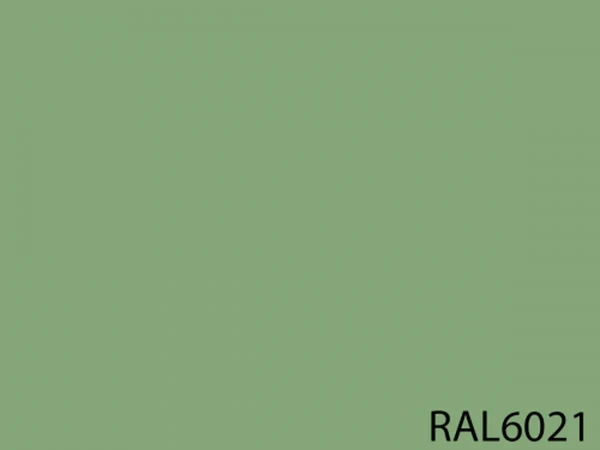 RAL 6021