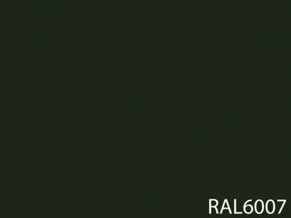 RAL 6007
