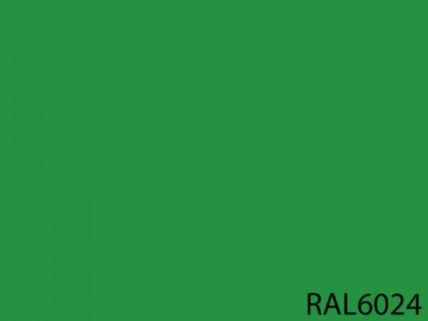 RAL 6024