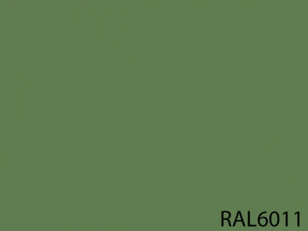 RAL 6011
