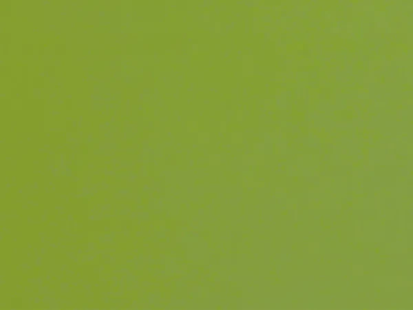 Carina 7670 - army zelená