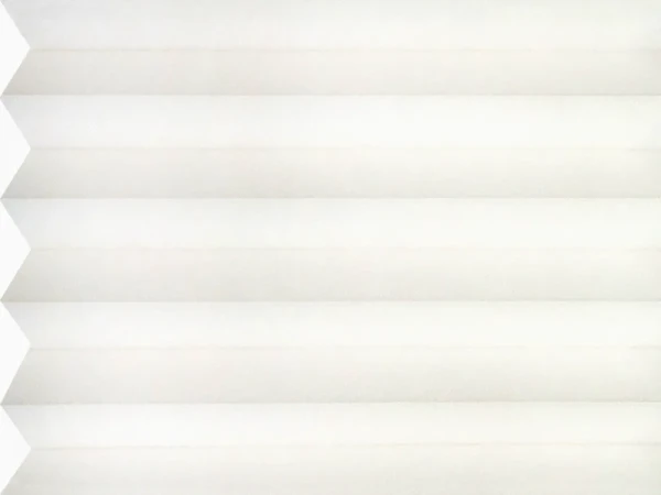 BO 11195 - Sea Shell