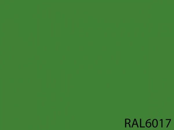 RAL 6017