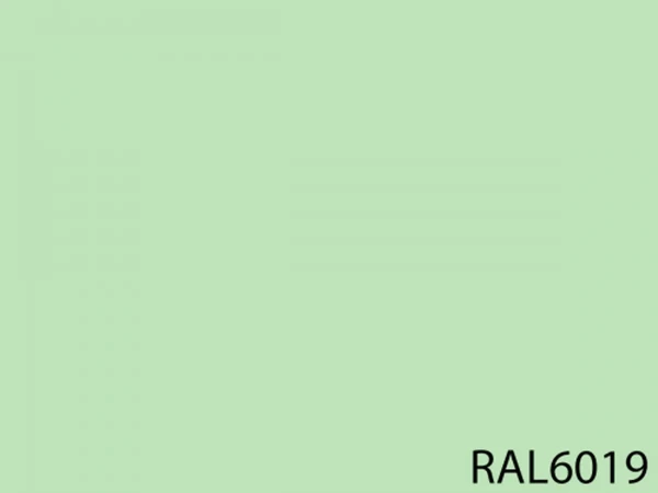 RAL 6019