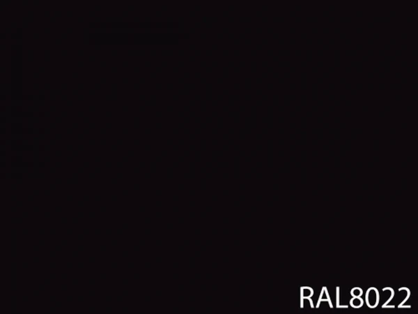 RAL 8022