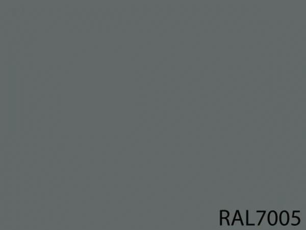 RAL 7005