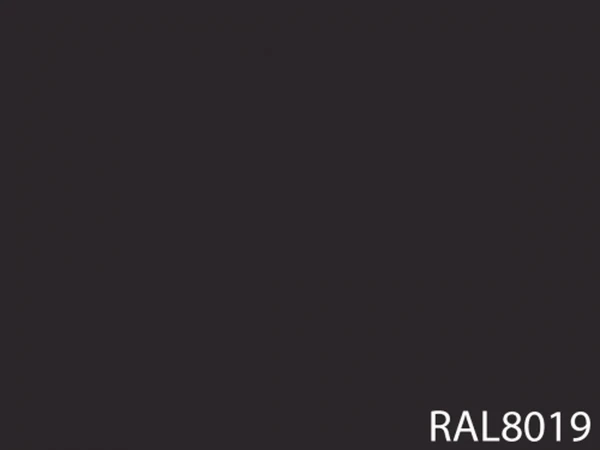 RAL 8019