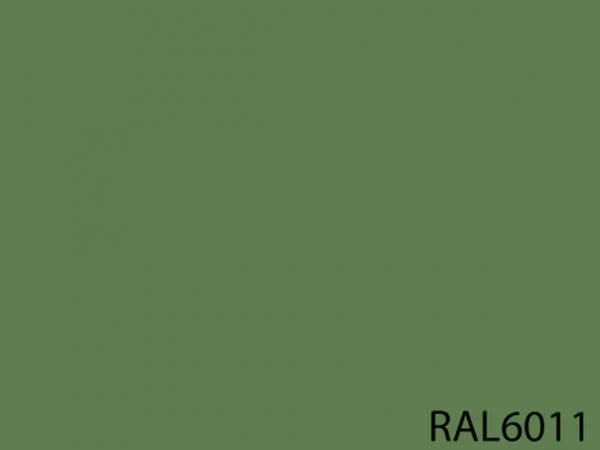 RAL 6011