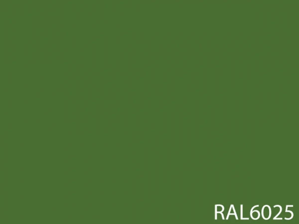RAL 6025