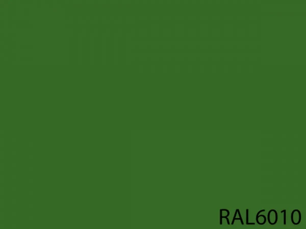 RAL 6010