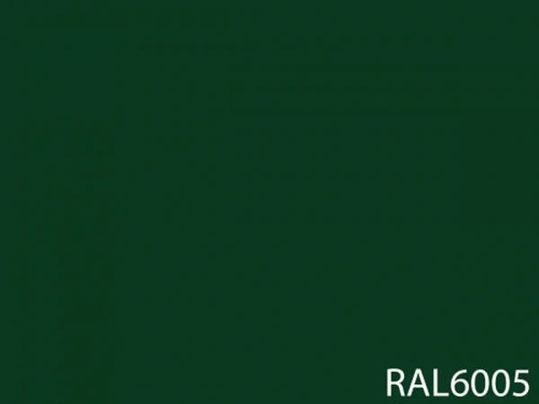 RAL 6005