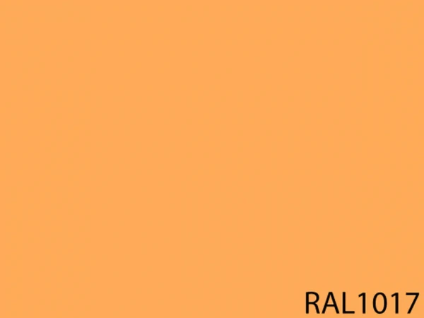 RAL 1017