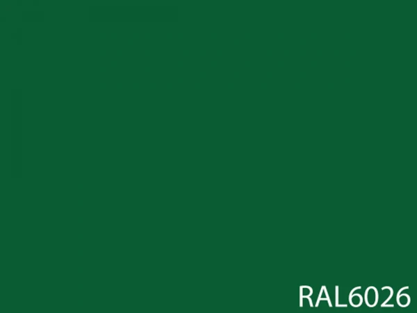 RAL 6026