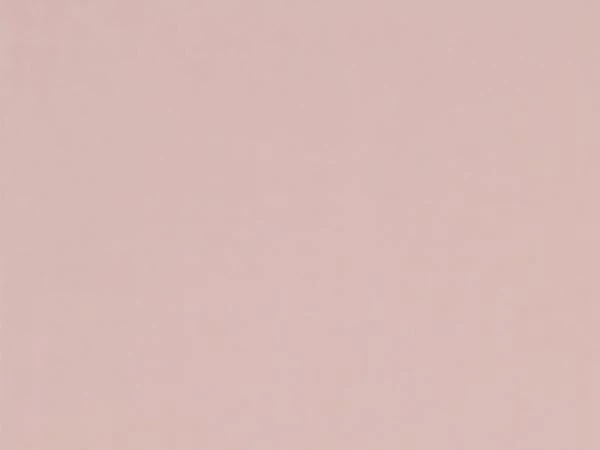 Carina 4980 - bledoružová