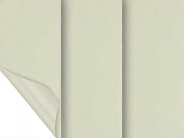 Madagaskar 052 (zatemňujúca) - champagne