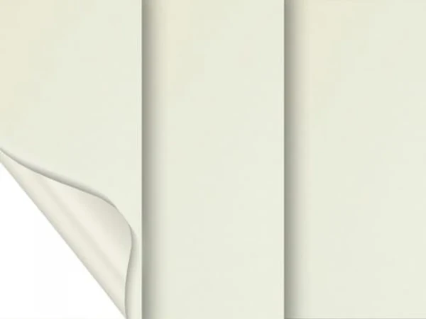 Madagaskar 056 (zatemňujúca) - slonová kosť