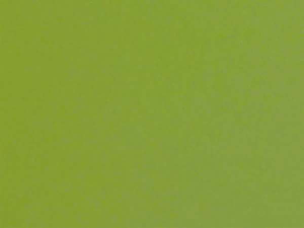 Carina 7670 - army zelená