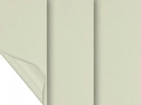 Madagaskar 052 (zatemňujúca) - champagne