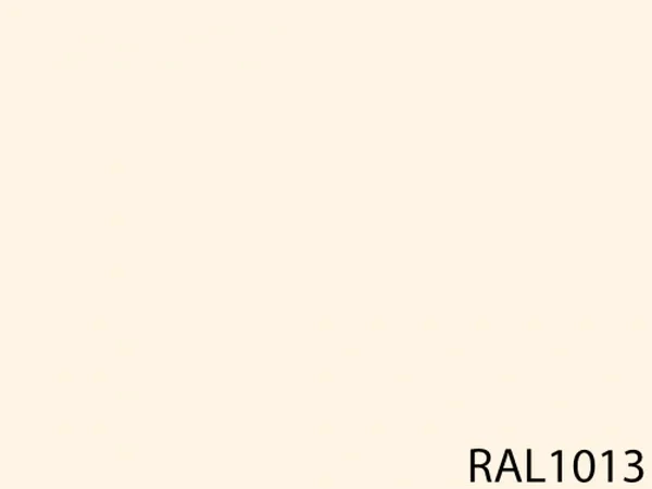 RAL 1013