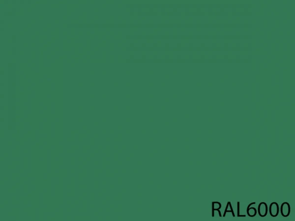 RAL 6000