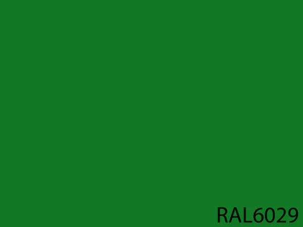 RAL 6029
