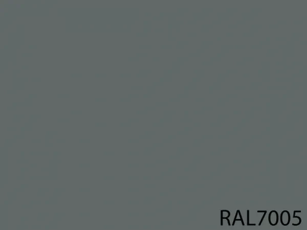 RAL 7005