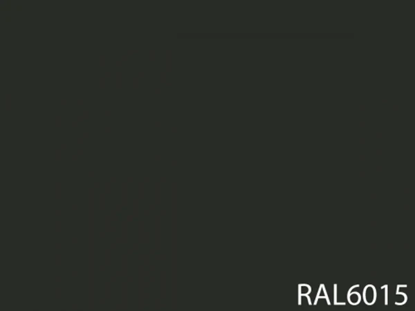 RAL 6015