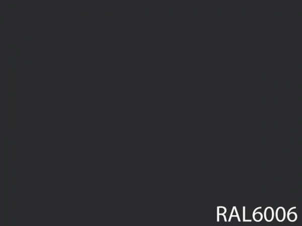 RAL 6006