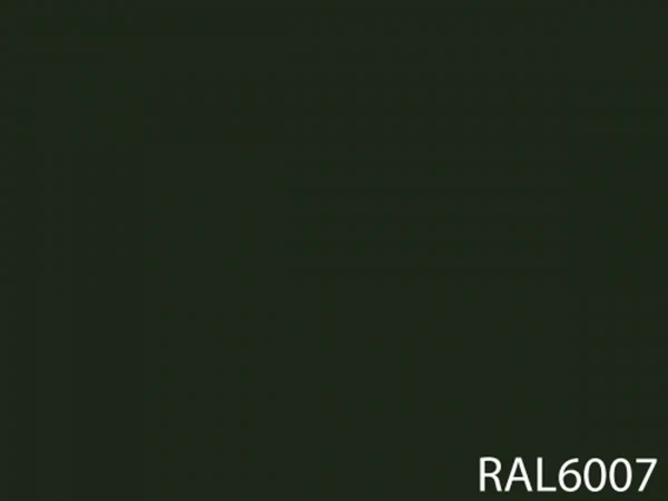 RAL 6007