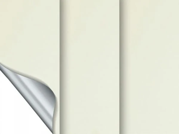 Madagaskar 056 (thermo) - slonová kosť