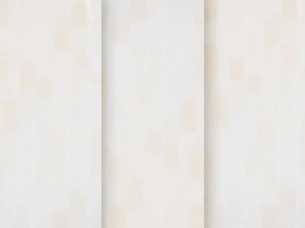 Rembrandt 4903 - slonová kosť