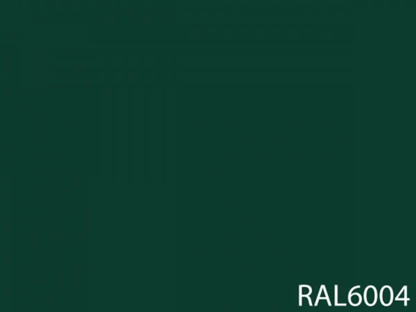 RAL 6004